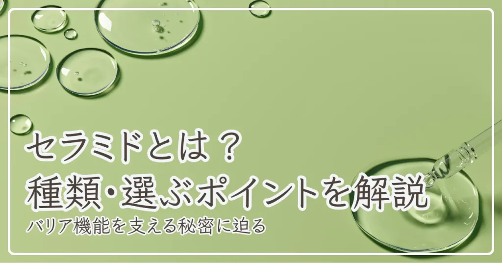 セラミドとは？肌のバリア機能を支える効果や種類から選ぶポイントまで解説